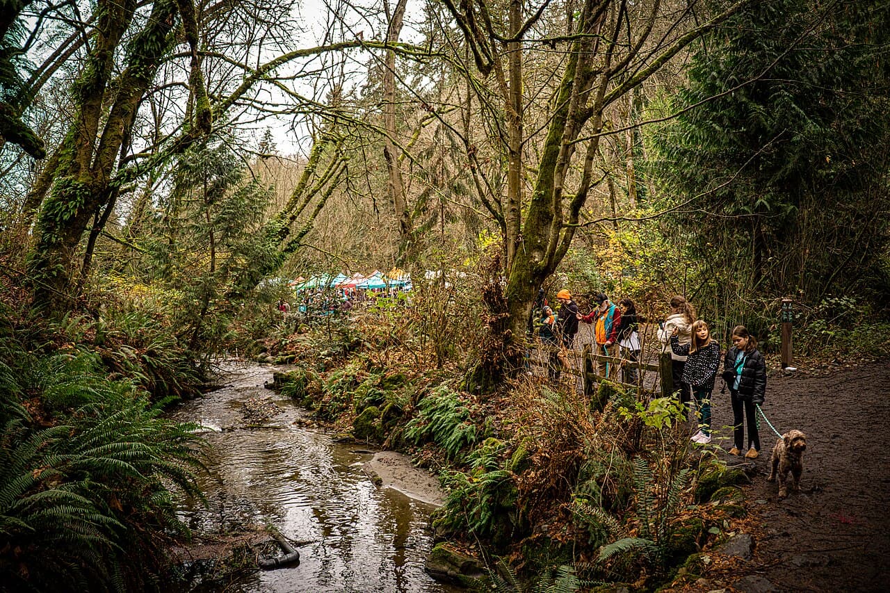 Salmon Celebration at Carkeek Park