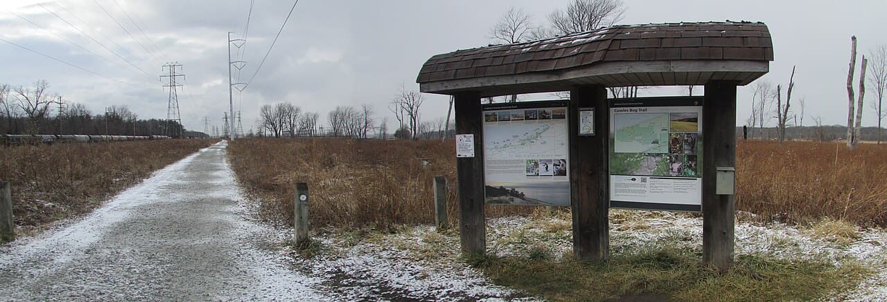 Cowles Bog Trail (south)
