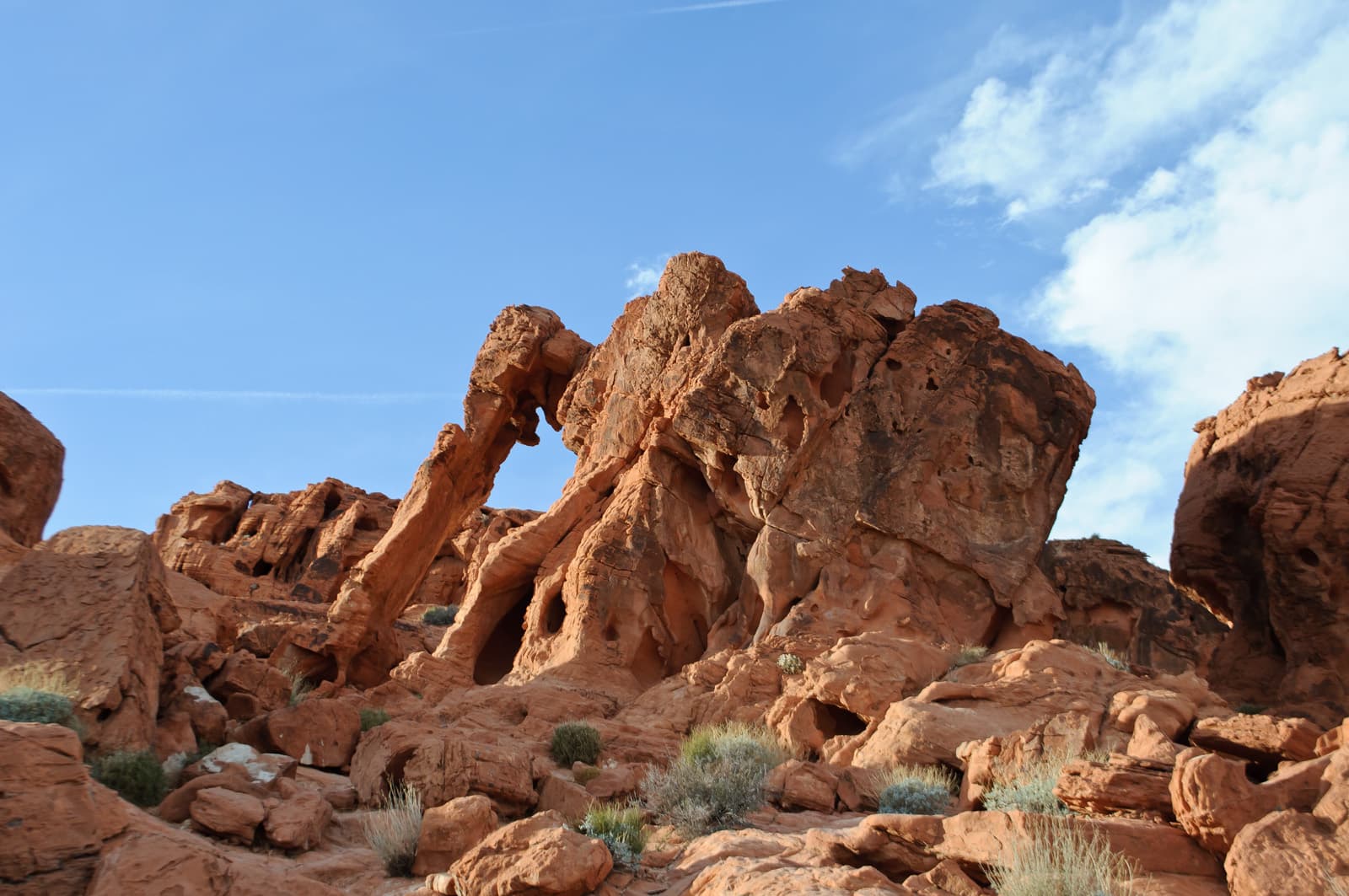 Elephant Rock - Valley of Fire State Park, Nevada, USA