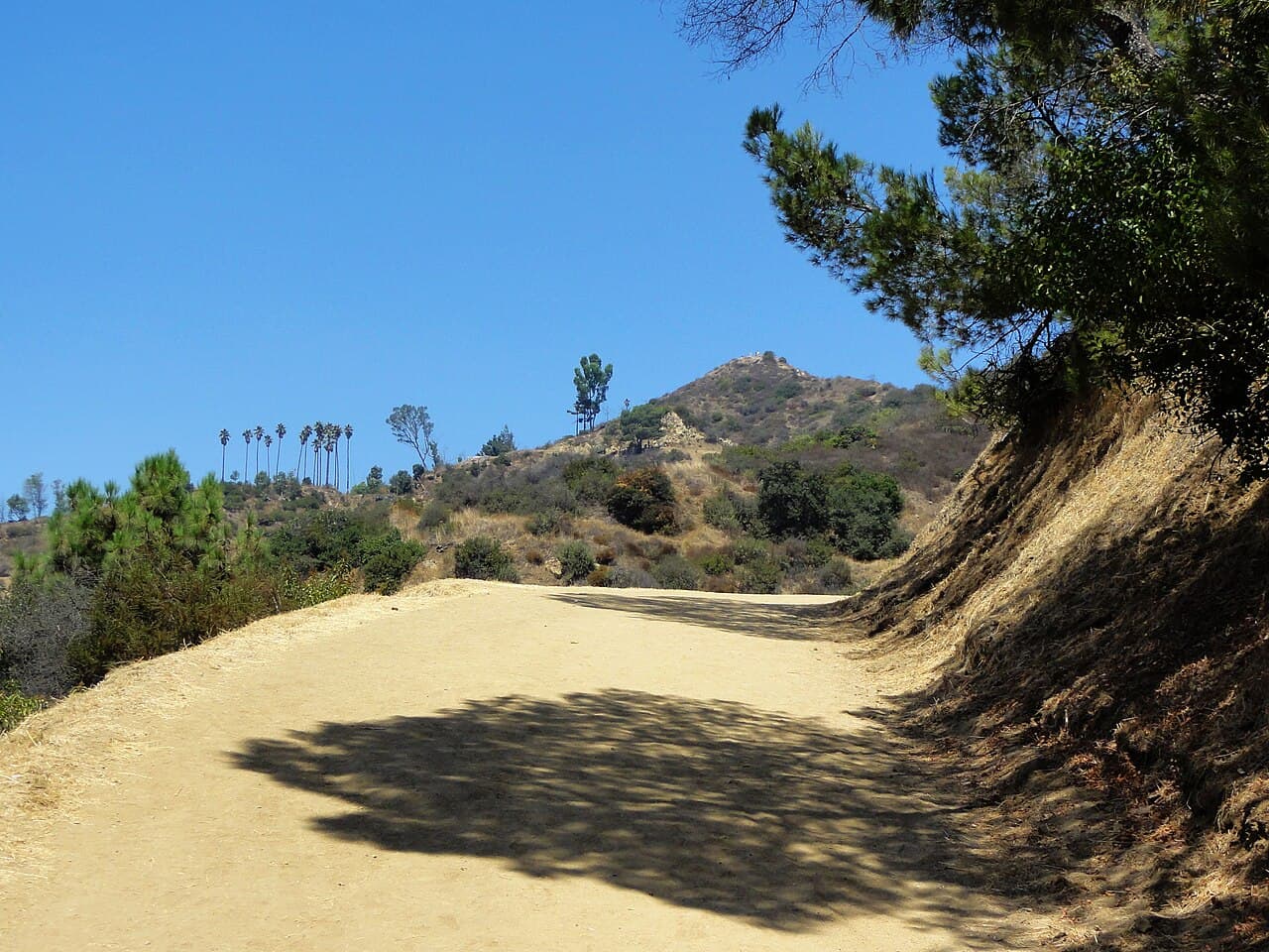 Mount Hollywood