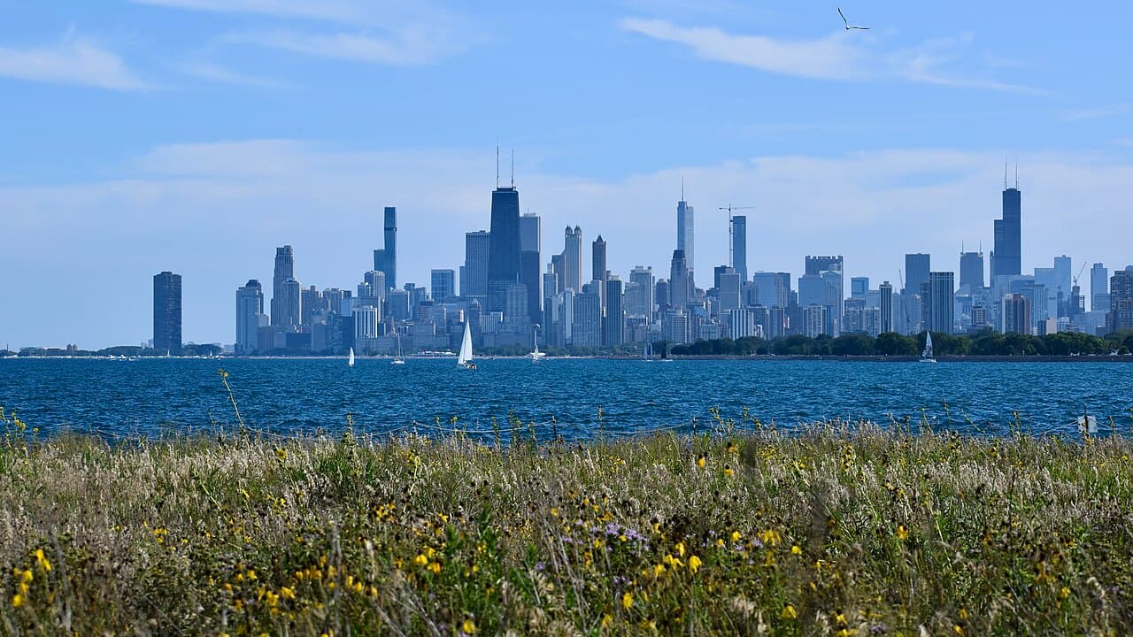Magic Hedge, Montrose Point Bird Sanctuary, Chicago.