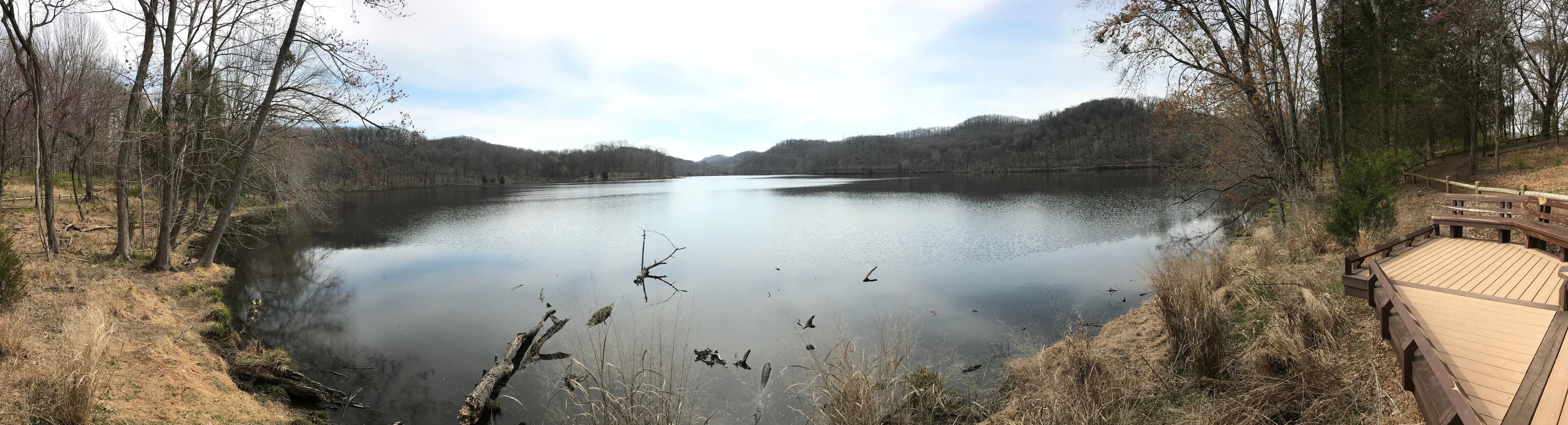 Radnor Lake panorama