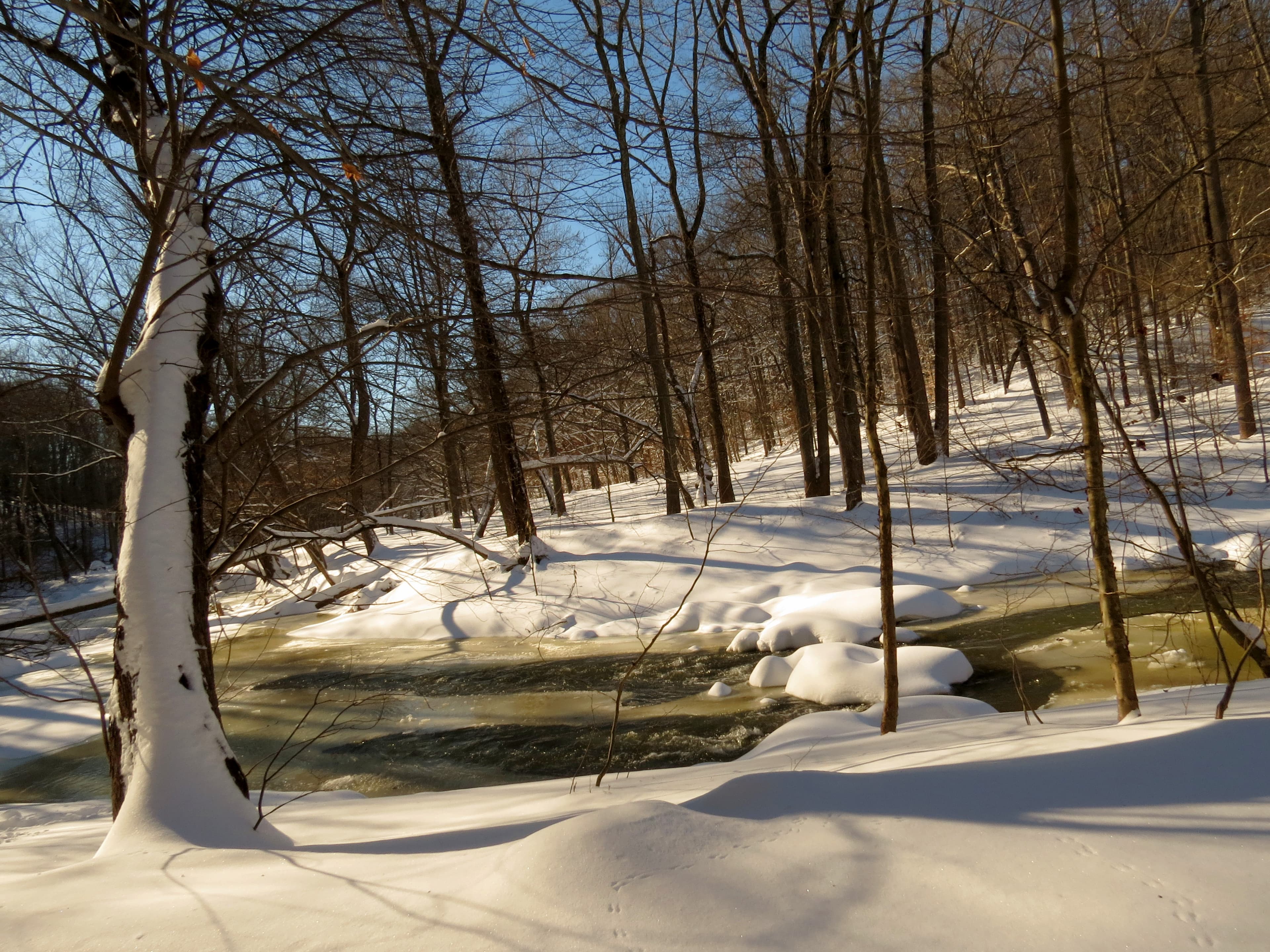 Rock Creek, Rock Creek Park