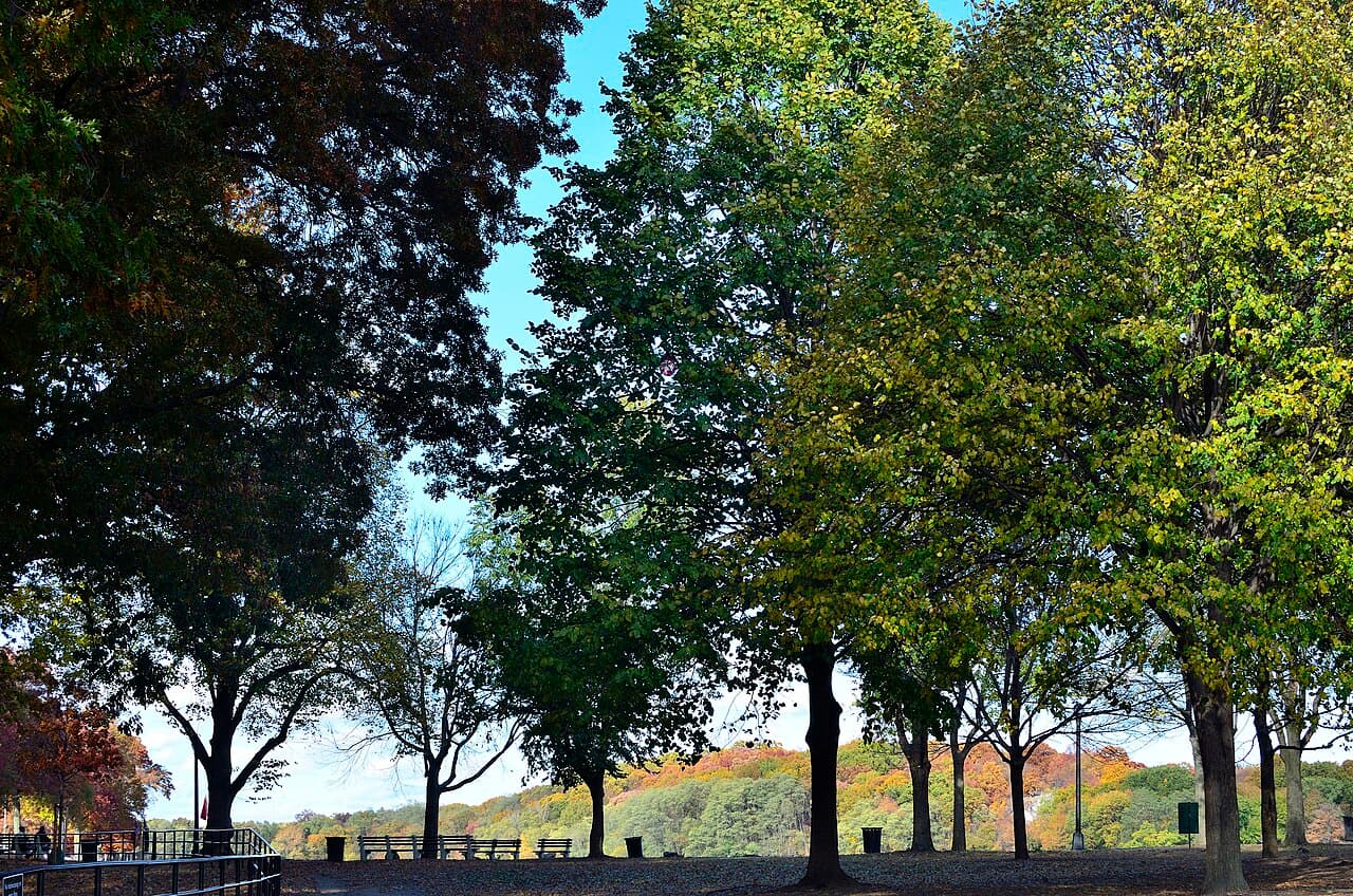 2013 Cross Country - Ivy Prep Championships - Van Cortlandt Park (10735878786)